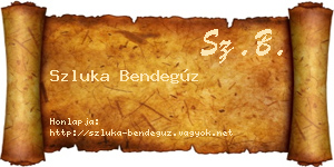 Szluka Bendegúz névjegykártya